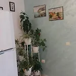 Sunny Houm * نيسيبار