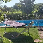 Sunny Houm * نيسيبار
